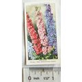 1939 Wills Garden Flowers No. 26 Larkspur