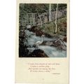 AUSTRALIA NEW SOUTH WALES VALENTINE'S SERIES PO...
