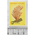 vintage Yugoslavia Matchbox Label - Toadstool, ...