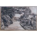Postcard: Devon, Torquay, Terrace Gardens: c192...