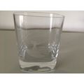 GLASS TUMBLER - FISHING / ANGLING THEME