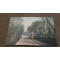 1905 fr Postcard -Tram @ Northdown Road, Clifto...