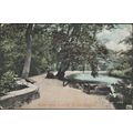 Swan Lake, Endcliffe Woods, Sheffield, Yorkshir...