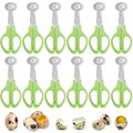 Quail Egg Cutter Scissors Stainless Steel Pigeo...