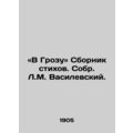 Into the Thunderbolt: A collection of poems by L. M. Vasilevsky.