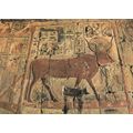 Chapel of Goddess Hathor Egypt Postcard