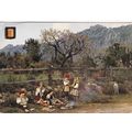Roussillon Folklore France Postcard used creased
