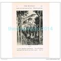 FIESOLE (1), FLORENCE, ITALY, BOOK ILLUSTRATION...