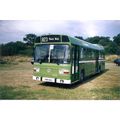 Colour Photograph of Gosport & Fareham Omnibus ...