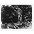 Bruce Bennett Historic Tarzan Film Actor 10x8 H...