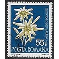 Mi 3025: 55 b. multicoloured Scarce Romanian Fl...
