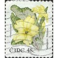 EIRE, FLOWER, Primrose, Primula vulgaris adhesi...