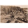 Country Garden somewhere in England Postcard un...