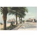 06 - NICE - PROMENADE DES ANGLAIS -