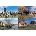 D025538 Woolavington. Saint Marys Church. Old M...