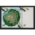 New Caledonia Mangrove Swamp Voh Right Margin 2...