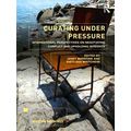 Museum Meanings: Curating Under Pressure