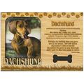 Dachshund Laser Engraved Wood Picture Frame Magnet