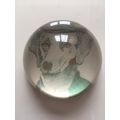 PAPERWEIGHT - EDWARDIAN DOG