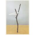 Catapult Sling On Tree Amazing Inertia Photo Ar...