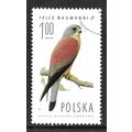 POLAND 1975 1z LESSER KESTREL MALE SG 2341 FINE...