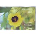 Hibiscus Japan NTT Phone Card