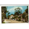 Sussex RUSTINGTON The Street Postcard by Norman...
