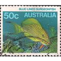 AUSTRALIA, FISH, Blue-lined surgeonfish, blue 1...