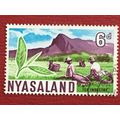 Nyasaland QEII 1964 6d Tea Industry Used SG 204...