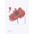 Royal Mail Limited Edition Print: First World W...