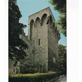 Montpellier Tour des Pins France Postcard used VGC