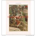 Body of Jesus for Annointiing, J J Tissot, Book...