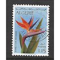 ALGERIA 1973 ALGERIAN FLOWERS 1d.15 STELITZIA S...