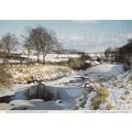 Lesbury River Northumberland At Christmas Postcard