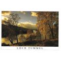 PE/31-1083: Autumn, Loch Tummel, Perthshire, Sc...