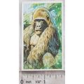 Brooke Bond Going Wild No. 15 Mountain Gorilla,...