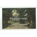 tp9392 - Devon - The Lane & Lodge Gates, of Coc...