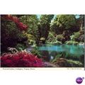 Pond & Gardens, Cockington,Torquay, Devon - J H...