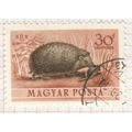 Hungary 1953 - 30f light brown/olive brown - He...