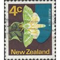 NEW ZEALAND, , BUTTERFLY, Puriri Moth, purple-b...