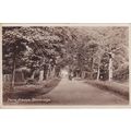 Ducie Avenue, Bembridge, Isle Of Wight Postcard...
