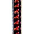 Jimi Hendrex. Pk MTP - C073u . 1 STRIP OF 5 - 3...