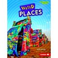 Wonderfully Weird (Alternator Books) Weird Places
