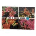 FLOWERS OF CANARY ISLANDS , SPAIN used postcard...