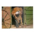 SHOEING A HORSE vintage unused postcard by Salm...