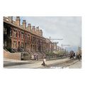 ptc2659 - Yorks. - Horse & Cart deliveries alon...