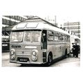 Black & White Photograph of Devon General Omnib...