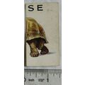 1929 Wills cigarette card Animalloys No. 39