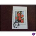 1972 Sharjah Dependencies Flowers 1rl Chrysanth...