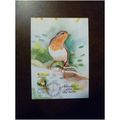 Liechtenstein 1986 Europa European Robin stamp ...